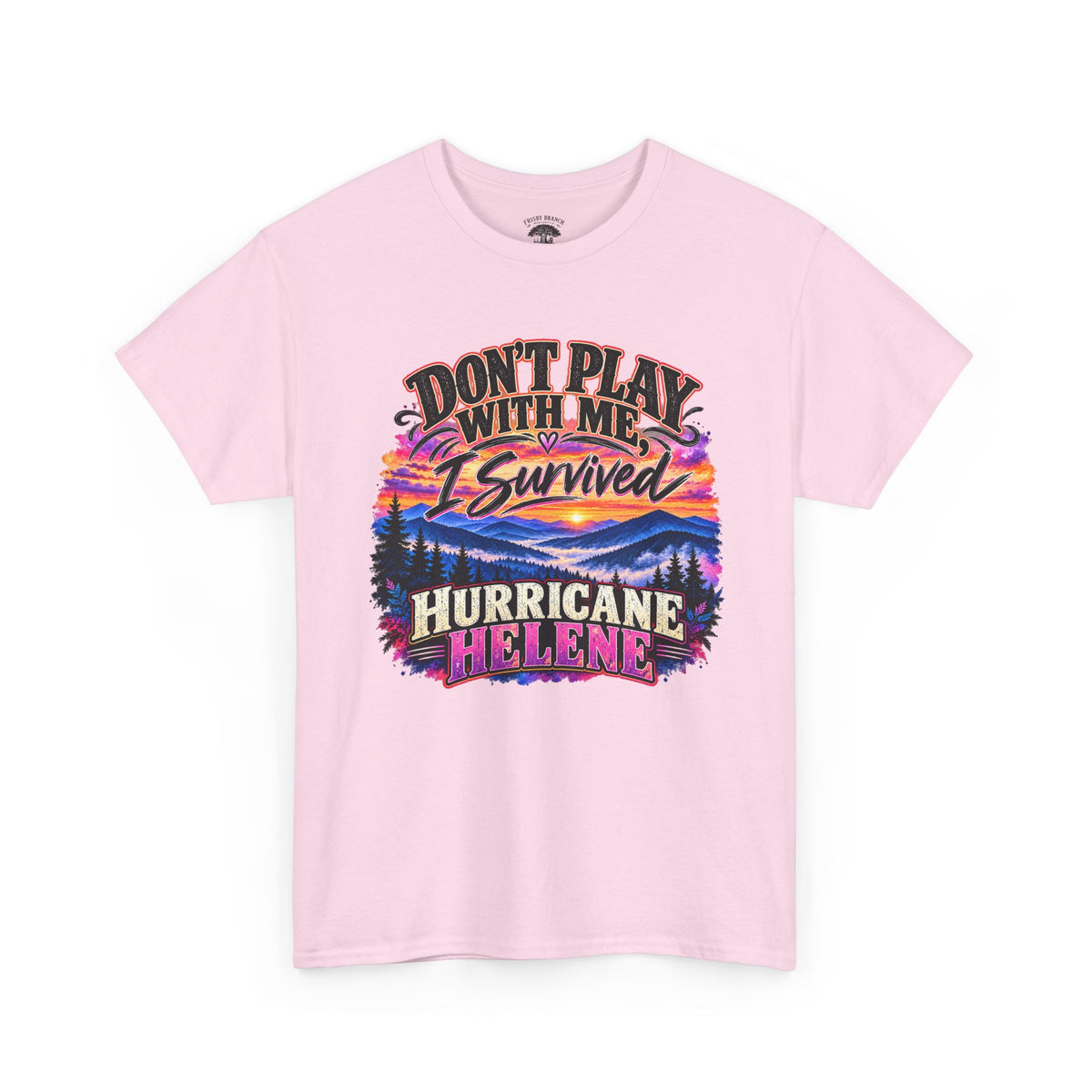 Hurricane Helene Survivor T-Shirt – Don’t Play With Me, I Survived Hurricane Helene