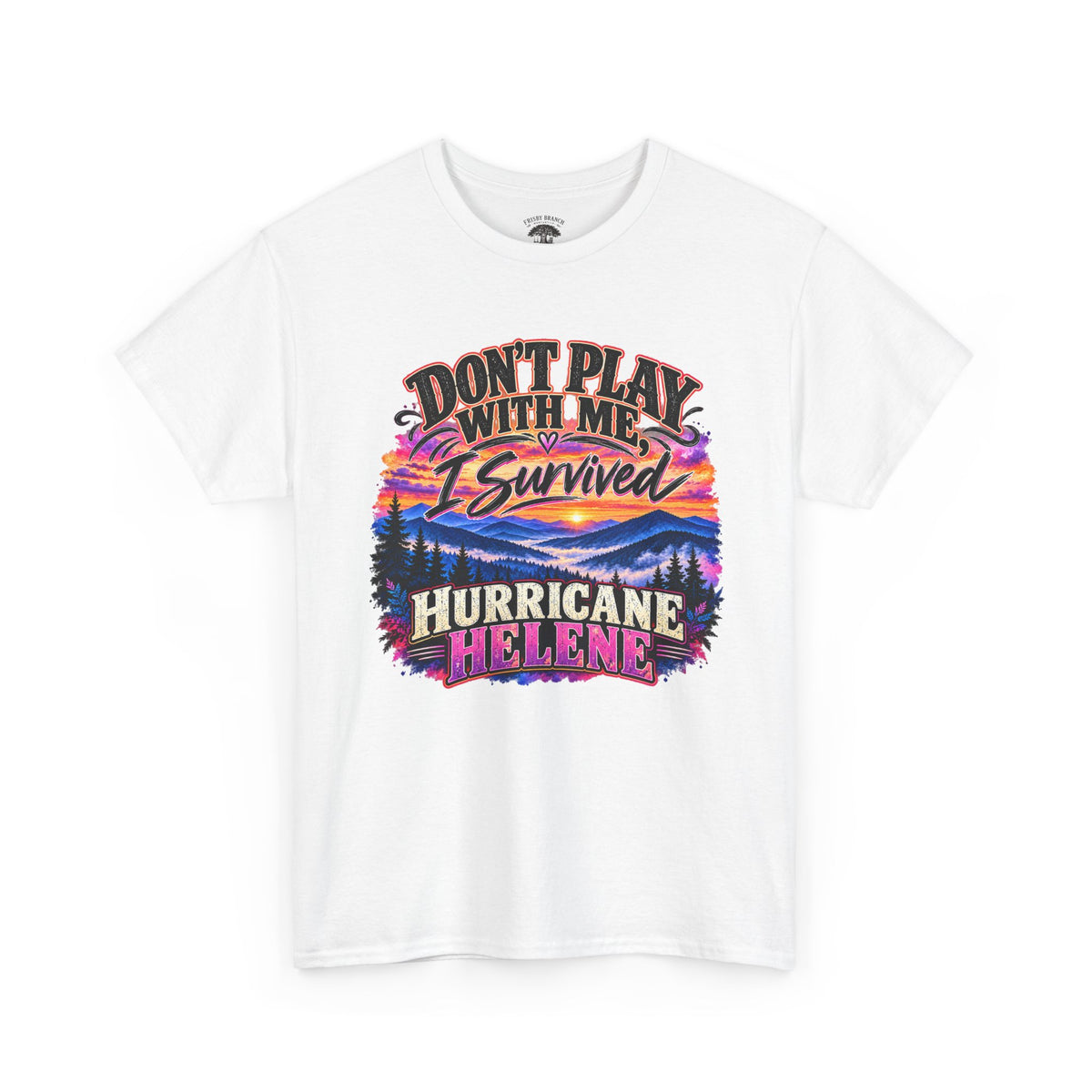 Hurricane Helene Survivor T-Shirt – Don’t Play With Me, I Survived Hurricane Helene