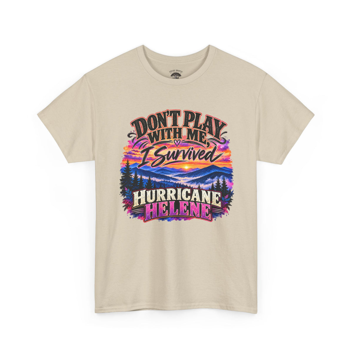 Hurricane Helene Survivor T-Shirt – Don’t Play With Me, I Survived Hurricane Helene