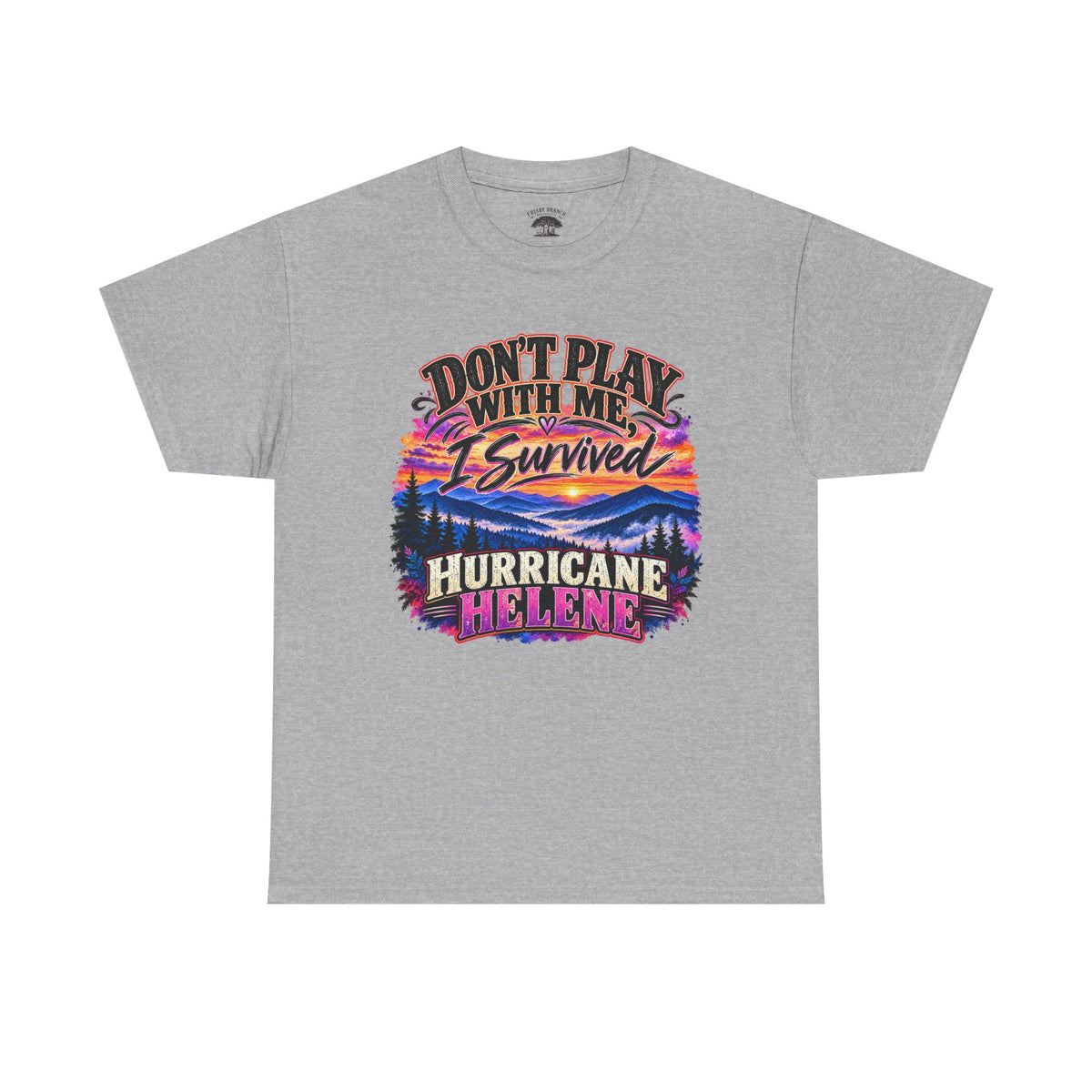Hurricane Helene Survivor T-Shirt – Don’t Play With Me, I Survived Hurricane Helene