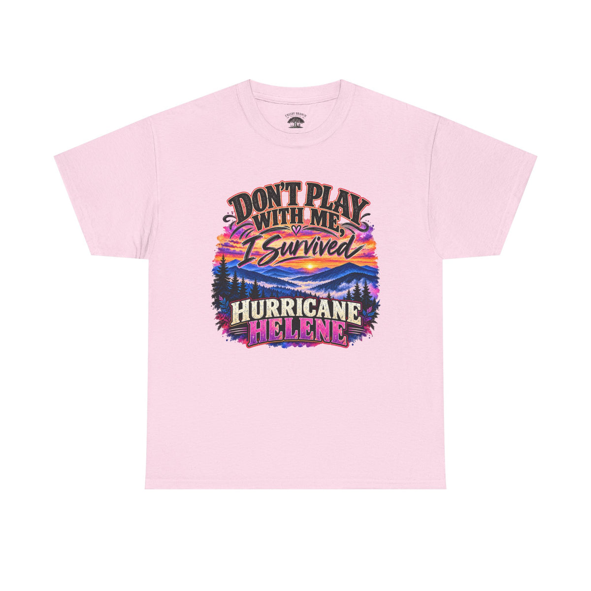 Hurricane Helene Survivor T-Shirt – Don’t Play With Me, I Survived Hurricane Helene